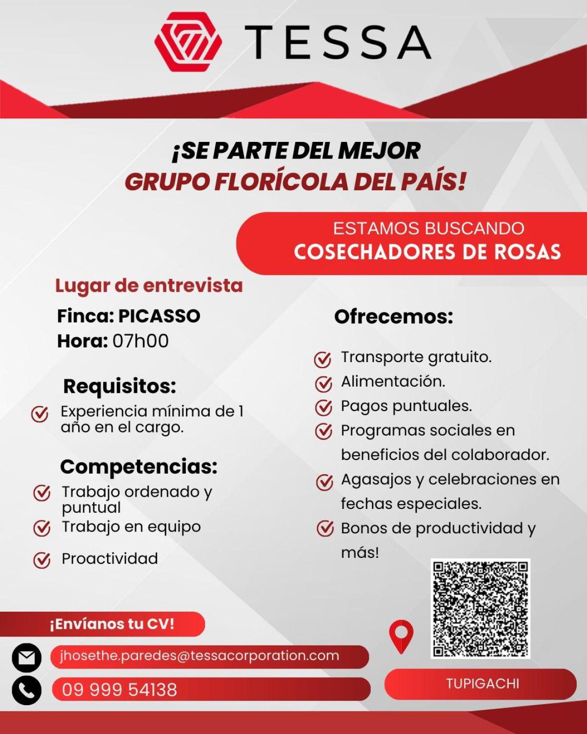 Estamos buscando cosechadores de rosas en Pichincha